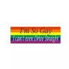 Auto Sticker I'm So Gay