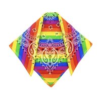 Bandana Rainbow Paisly