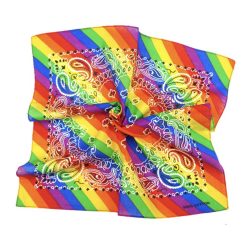 Bandana Rainbow Paisly