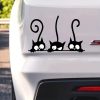 autosticker cats