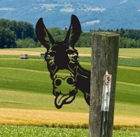 Tuindecoratie Donkey